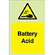 Battery Acid Gemglow Sign