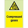 Compressed Gases Gemglow Sign