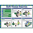 Ricer (Soft Tissue Injuries) Poster
