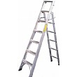 DualStep 2-Way Ladder