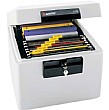 Sentry Document Fire Filing Chest