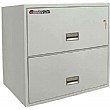 Sentry 2 Drawer Lateral Fire Filing Cabinet
