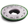 Numatic 450mm Polyscrub Brush 606203