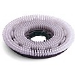 Numatic 450mm Nyloscrub Brush 606204