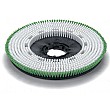 Numatic 550mm Polyscrub Brush 606028