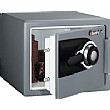 Sentry Data Fire Safe