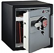 Sentry Electronic Data Fire / Water Safe OA3807