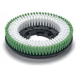 Numatic 280mm Polyscrub Twin Brush Design 606029