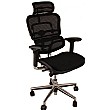 Ergohuman Mesh Office Chairs (With Headrest)