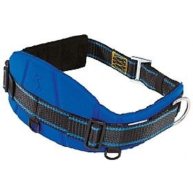 Safety Belts