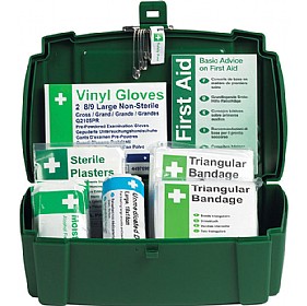 Travel First Aid Kit In Plastic Case