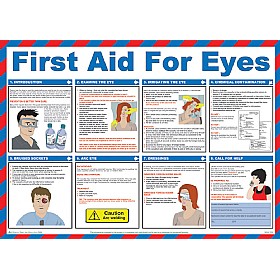 First Aid for Eyes Poster
