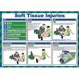 Ricer (Soft Tissue Injuries) Poster