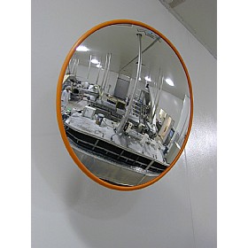 Food Processing Mirrors
