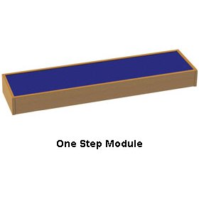 Arena Stage Step Module