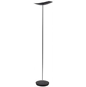 Elegance LED Floor Lamp