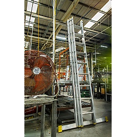 Lyte Trade ProLyte Extenstion Ladders