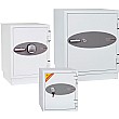 Phoenix 2000 Series Datacare Safes