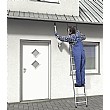 Hailo ProfiStep Uno Aluminium Ladder