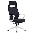 Spectra Mesh Office Chair