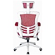Flexi Mesh Office Chairs
