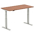 NEXT DAY InterAct Sit-Stand Rectangular Desks