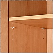 NEXT DAY Karbon Wooden Office Cupboards