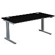 NEXT DAY Karbon Electric Height Adjustable Sit-Stand Desk