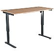 NEXT DAY Karbon Electric Height Adjustable Sit-Stand Desk