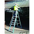 Lyte Glass Fibre Widestep Step Ladders