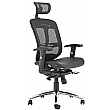 Carinosa II Mesh Office Chair