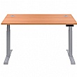 Commerce II Height Adjustable Rectangular Sit-Stand Desks