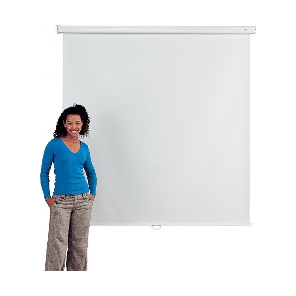 Budget Wall Mounted Projection Screens