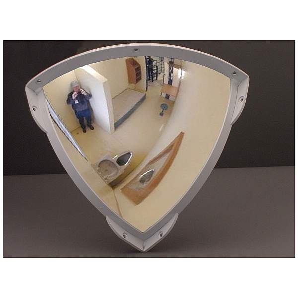 Stainless Steel Anti Ligature Quarter Face Mirror