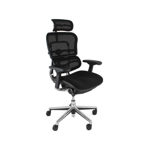 Ergohuman Elite Mesh & Fabric Office Chairs (With Headrest) Posture