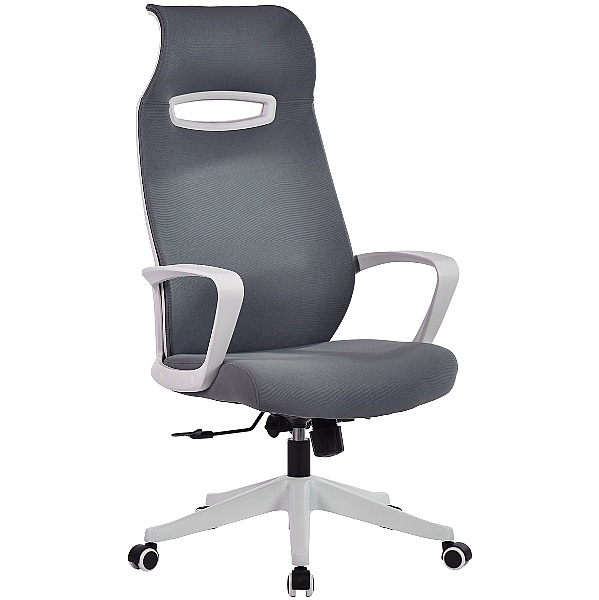 Spectra Mesh Office Chair