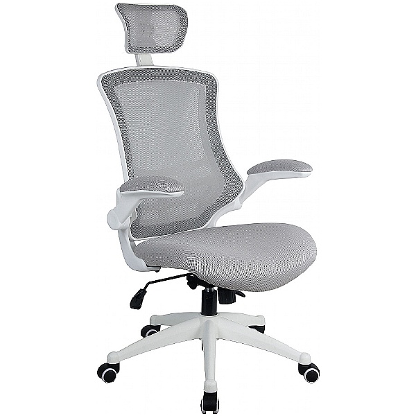 Flexi Mesh Office Chairs