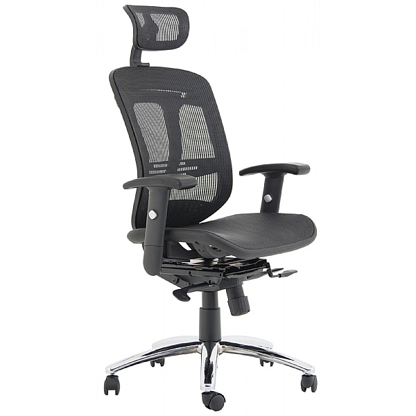 Carinosa II Mesh Office Chair