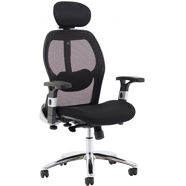 Darwin Ergonomic Mesh Task Chair