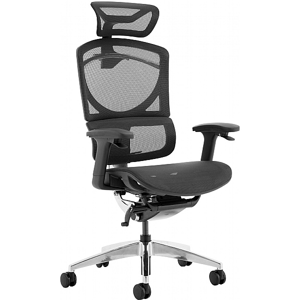 Ergo Posture Plus 24 Hour Mesh Office Chair