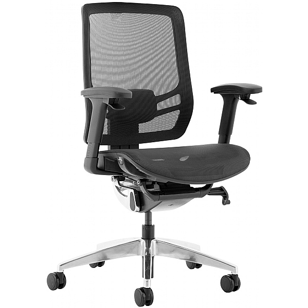 Ergo Posture 24 Hour All Mesh Office Chair