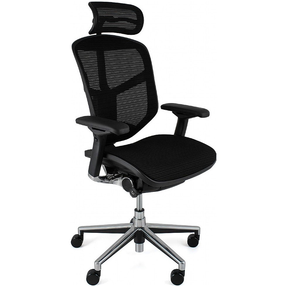 Enjoy Mesh Office Chairs (With Headrest) Posture / Ergonomic Office