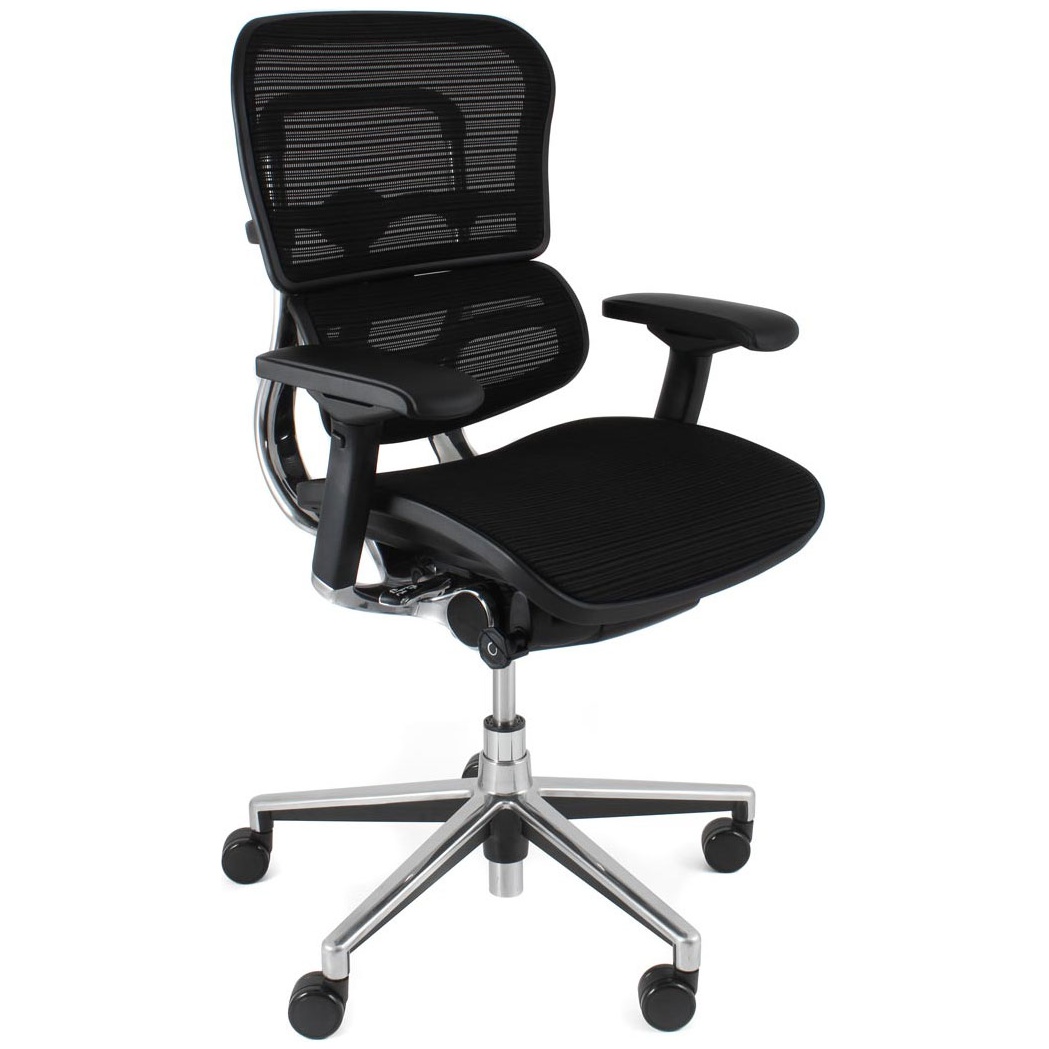 Ergohuman Elite Mesh Office Chairs (Without Headrest) Posture